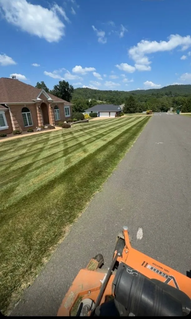 Striped finish mow on a residential lawn